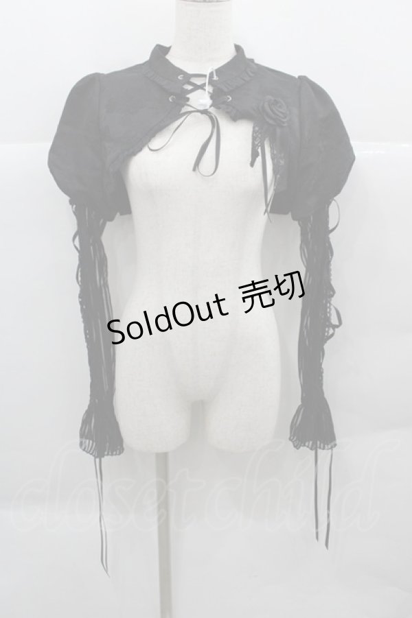 画像1: MORY HITOMI（海外ロリータブランド） / 薔薇ジャガード&袖シースルーボレロ M 黒 I-25-12-13-042-LO-TO-SA-ZI (1)