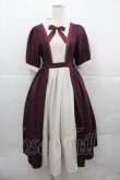 画像1: axes femme kawaii / エレガントドールワンピース M ワイン I-25-12-13-073-AX-OP-SA-ZI (1)