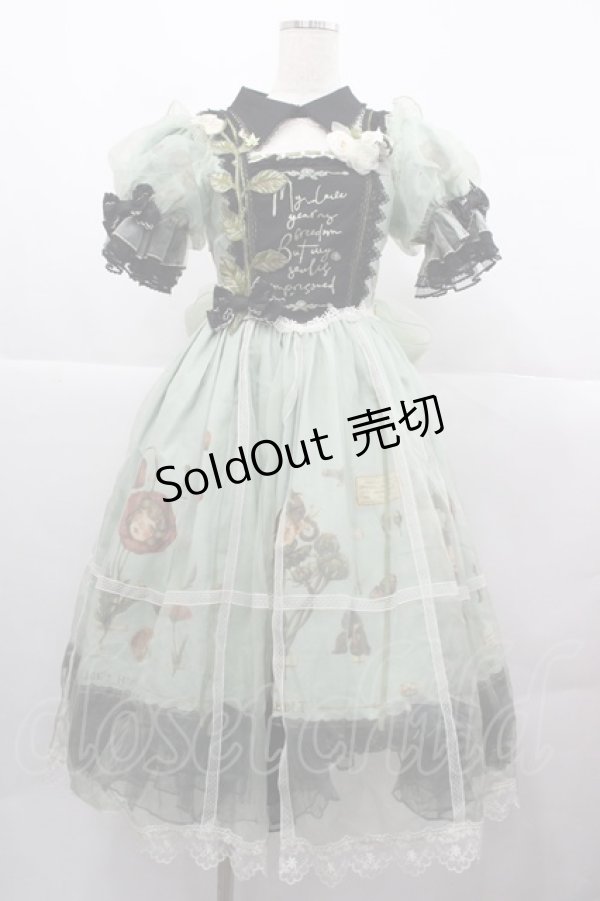 画像1: Reddit(海外ロリータブランド) / Dollフラワー柄半袖ワンピースセット S 緑ｘ黒 I-25-12-13-110-LO-OP-SA-ZI (1)