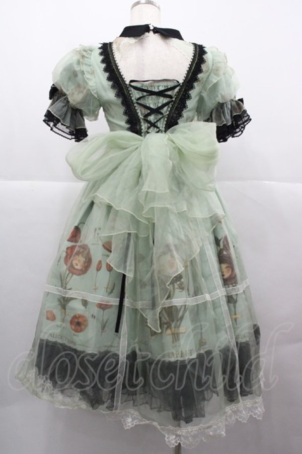 画像2: Reddit(海外ロリータブランド) / Dollフラワー柄半袖ワンピースセット S 緑ｘ黒 I-25-12-13-110-LO-OP-SA-ZI (2)