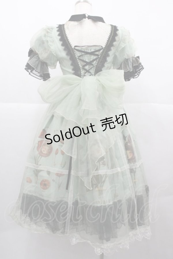 画像2: Reddit(海外ロリータブランド) / Dollフラワー柄半袖ワンピースセット S 緑ｘ黒 I-25-12-13-110-LO-OP-SA-ZI (2)