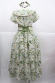 画像2: Forest Wardrobe 森林衣樹(海外ロリータブランド) / フラワーブーケ総柄半袖ワンピース&リボンカチューシャセット M グリーン I-25-12-13-117-LO-OP-SA-ZI (2)