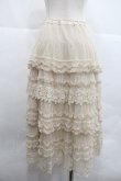 画像2: PINK HOUSE / ローズレースドットチュールスカート  生成り I-25-12-22-099-LO-SK-SA-ZI (2)