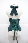画像2: abilletage / ベーシックデザインコルセット 3 グリーン I-25-12-22-105-GO-ZA-SA-ZI (2)