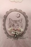 画像3: axes femme / 猫プリントTシャツ M ピンク I-26-01-08-018-AX-TS-TE-ZI (3)