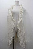 画像1: INGEBORG / 総レースロングジレ 11号 アイボリー I-26-01-10-098-LO-TO-SA-ZI (1)
