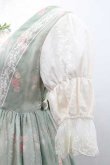 画像4: Miss Point / 薔薇プリントチュール重ね半袖ワンピース S グリーンＸアイボリー I-26-01-13-056-0-OP-SA-ZI (4)