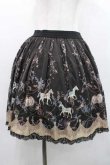 画像1: axes femme / メリーゴーランド柄スカート Ｍ 黒 I-26-01-13-092-AX-SK-TE-ZI (1)