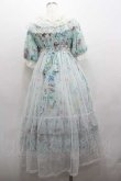 画像3: Angelic Pretty / Botanical Gardenワンピース  ミント I-26-01-15-037-AP-OP-SA-ZI (3)