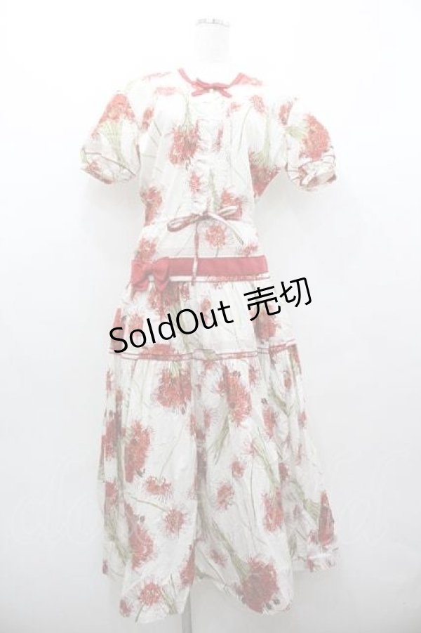 画像1: KANEKO ISAO / 彼岸花半袖ワンピース  アイボリー I-26-01-15-062-EL-OP-SA-ZI (1)