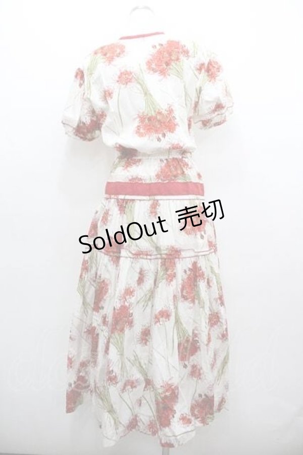 画像2: KANEKO ISAO / 彼岸花半袖ワンピース  アイボリー I-26-01-15-062-EL-OP-SA-ZI (2)