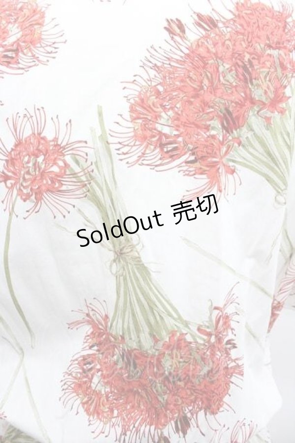 画像3: KANEKO ISAO / 彼岸花半袖ワンピース  アイボリー I-26-01-15-062-EL-OP-SA-ZI (3)