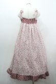 画像2: MILK / Luna dress  ピンク I-26-01-20-053-ML-OP-AS-ZI (2)