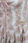 画像2: LACE MADE / トスカニーローズコルセットドレス L 白Ｘピンク I-26-01-22-038-EL-OP-SA-ZI (2)