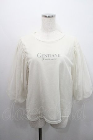 画像: axes femme / チュール重ねボリューム袖プルオーバー  アイボリー I-26-01-29-009-AX-TO-SA-ZI