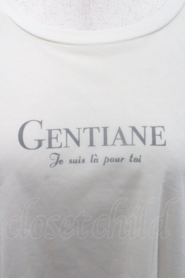 画像3: axes femme / チュール重ねボリューム袖プルオーバー  アイボリー I-26-01-29-009-AX-TO-SA-ZI (3)