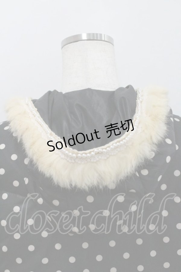 画像3: Franche Lippee / リバーシブルダウンコート M 黒 I-26-01-29-019-LO-JA-TE-ZI (3)