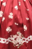 画像3: Ank Rouge / 薔薇ブーケプリントスカート  赤Ｘピンク I-26-01-31-082-CA-SK-SA-ZI (3)