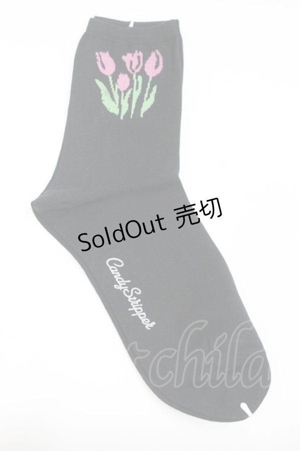 画像1: Candy Stripper / チューリップソックス  黒Ｘピンク I-26-02-01-120-PU-ZA-SA-ZI (1)