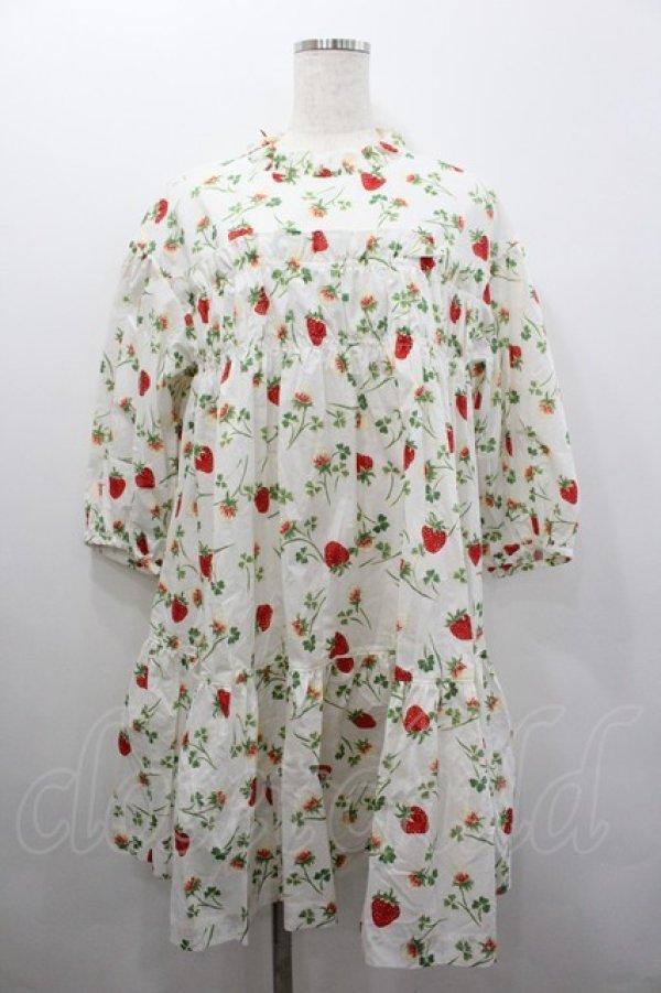 画像1: Jane Marple / Fortune gardenチュニックドレス  白 I-26-02-06-052-JM-OP-SA-ZI (1)