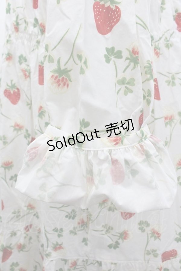 画像3: Jane Marple / Fortune gardenチュニックドレス  白 I-26-02-06-052-JM-OP-SA-ZI (3)