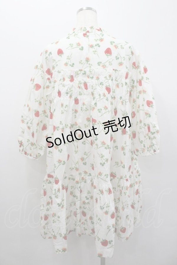 画像4: Jane Marple / Fortune gardenチュニックドレス  白 I-26-02-06-052-JM-OP-SA-ZI (4)