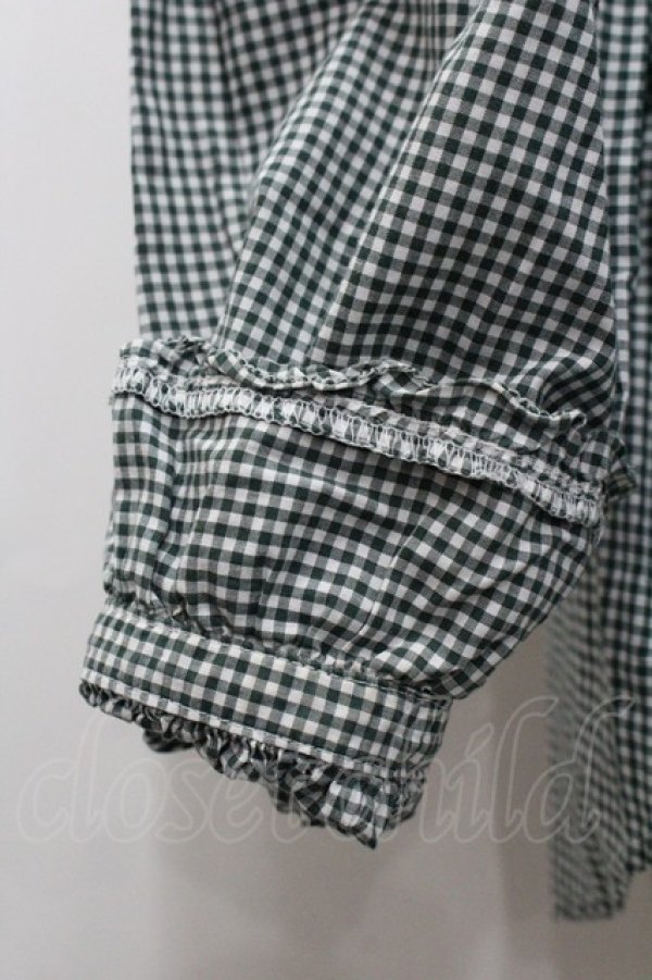 画像2: PINK HOUSE / ギンガムチェックピコフリルフードブラウス  グリーンＸ白チェック I-26-02-06-010-LO-BL-SA-ZI (2)