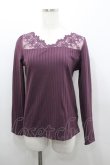 画像1: axes femme / 繊細レース長袖インナー  パープル I-26-02-08-071-AX-TO-HR-ZI (1)