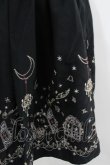 画像2: axes femme / 夜空刺繍スカート M 黒 I-26-02-08-115-AX-SK-TE-ZI (2)