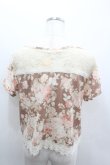 画像3: LIZ LISA / レース切り替えバラブーケプリントショートトップス  ブラウンＸピンクＸアイボリー I-26-02-11-067-LO-TO-SA-ZI (3)