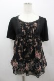 画像1: axes femme / ローズブーケプリントシフォン切り替え半袖カットソー  黒 I-26-02-11-011-AX-TO-SA-ZI (1)