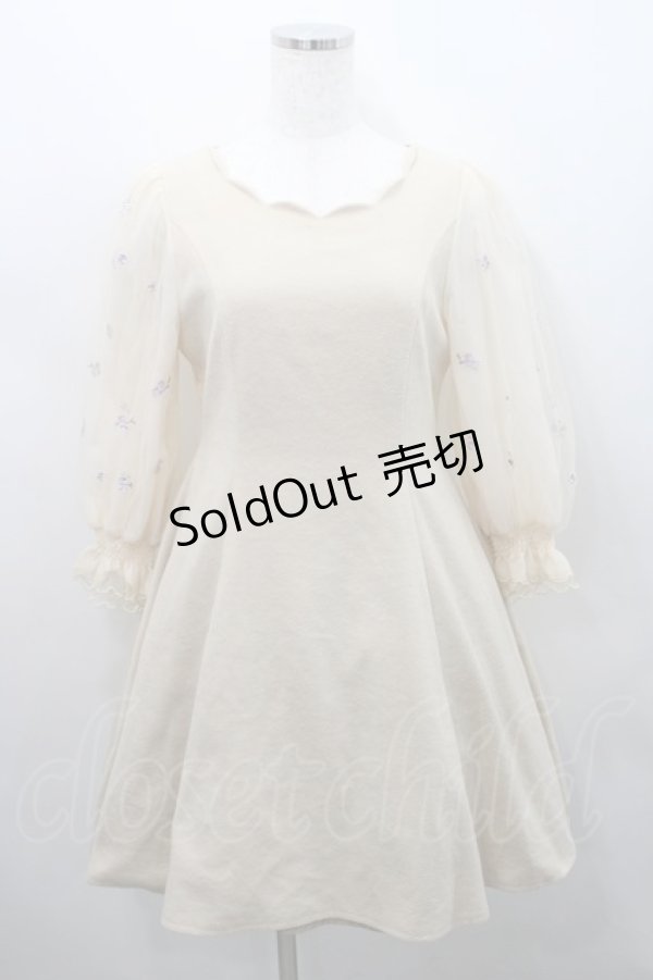 画像1: LODISPOTTO / フラワー刺繍チュール袖ワンピース  ベージュ I-26-02-15-057-LO-OP-SA-ZI (1)