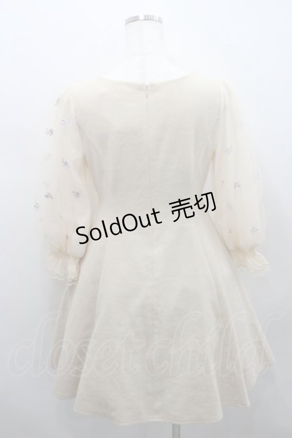画像2: LODISPOTTO / フラワー刺繍チュール袖ワンピース  ベージュ I-26-02-15-057-LO-OP-SA-ZI (2)