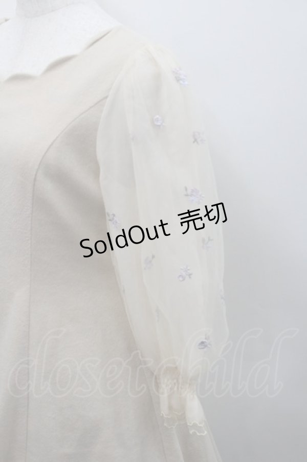 画像3: LODISPOTTO / フラワー刺繍チュール袖ワンピース  ベージュ I-26-02-15-057-LO-OP-SA-ZI (3)