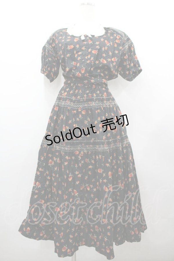 画像1: WONDERFUL WORLD / 苺pt&刺繍半袖ワンピース  ブラック I-26-02-18-071-LO-OP-SA-ZI (1)