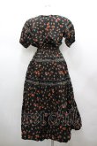 画像2: WONDERFUL WORLD / 苺pt&刺繍半袖ワンピース  ブラック I-26-02-18-071-LO-OP-SA-ZI (2)