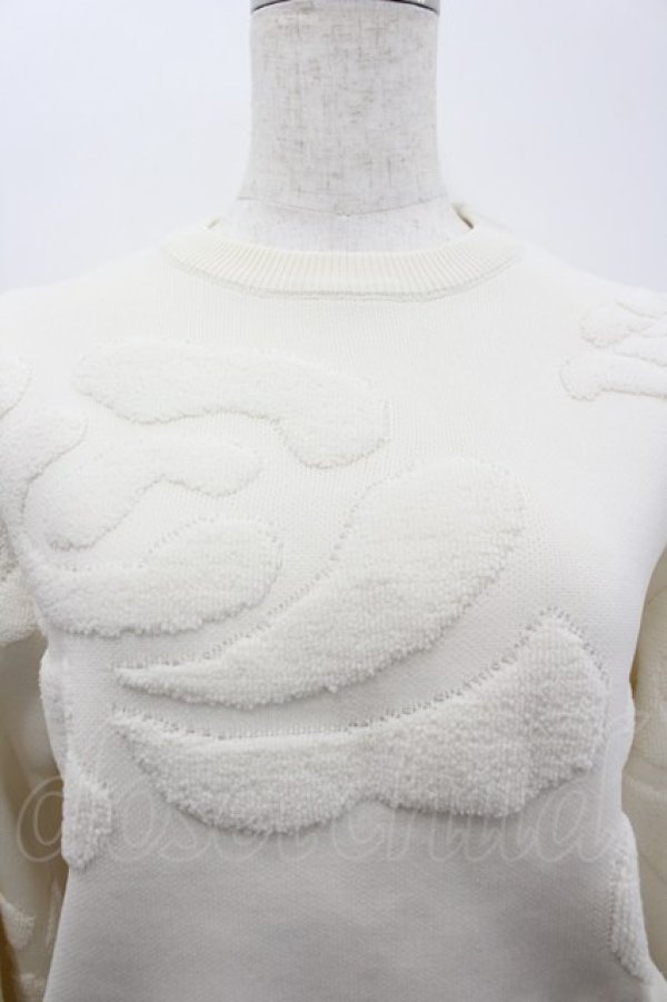 画像2: axes femme / 薔薇モチーフニットトップス  白 I-26-02-18-020-AX-TO-SA-ZI (2)
