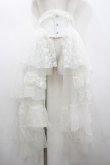 画像1: MR corset / レースコルセット  白 I-26-02-20-097-PU-ZA-SA-ZI (1)