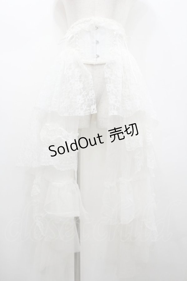 画像1: MR corset / レースコルセット  白 I-26-02-20-097-PU-ZA-SA-ZI (1)