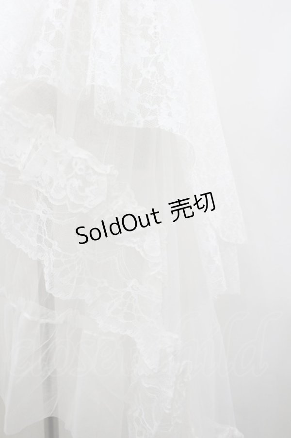 画像3: MR corset / レースコルセット  白 I-26-02-20-097-PU-ZA-SA-ZI (3)