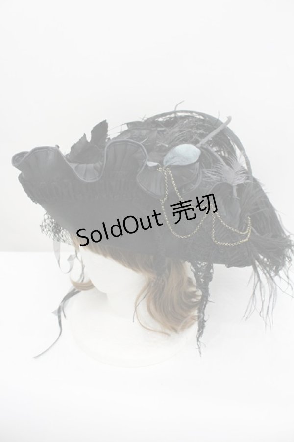 画像1: GOTHPUNKその他(買取対象外) / 羽根薔薇モチーフハット  黒 I-26-02-20-109-GO-AC-SA-ZT087 (1)