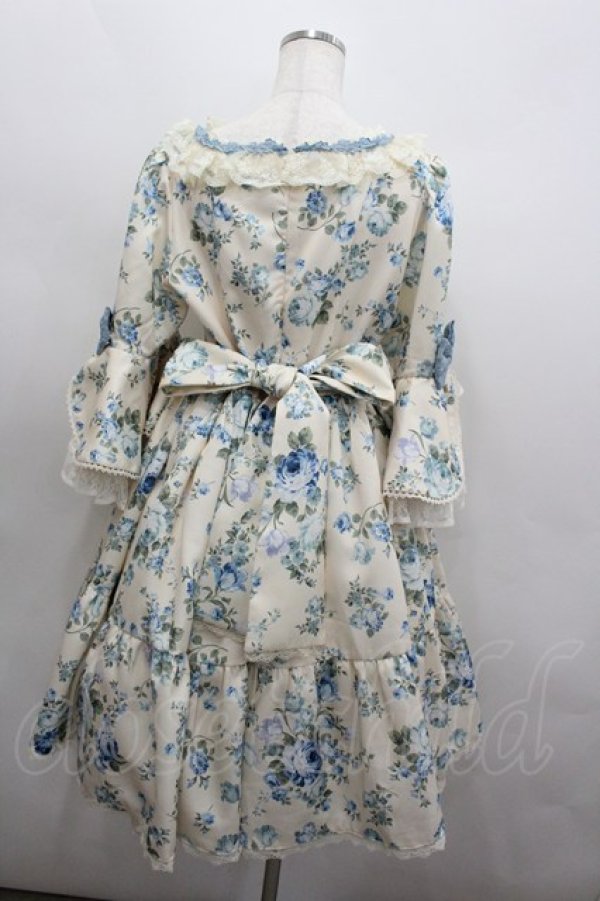 画像3: axes femme kawaii / アンティークローズ柄ワンピース M アイボリー I-26-02-23-059-AX-OP-TE-ZI (3)