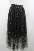 画像1: LOLITAその他(お買取対象外) / フラワー刺繍チュールスカート  黒 I-26-02-28-106-LO-SK-SA-ZI (1)