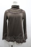 画像1: axes femme / ハイネックビジュー&レースネックレス風カットソー  ブラウン I-26-02-28-024-AX-TO-SA-ZI (1)