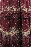 画像3: axes femme / ドット×薔薇スカート M ワイン I-26-03-02-085-AX-SK-TE-ZI (3)