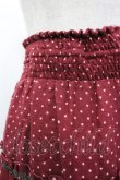画像4: axes femme / ドット×薔薇スカート M ワイン I-26-03-02-085-AX-SK-TE-ZI (4)