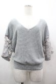 画像1: axes femme / 袖シースルー刺繍ニット M グレー I-26-03-02-011-AX-TO-TE-ZI (1)