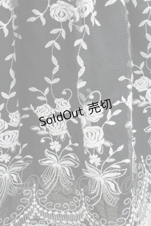 画像2: axes femme / オーガンジー刺繍ハイウエストスカート M 黒 I-26-03-04-041-AX-SK-TE-ZI (2)