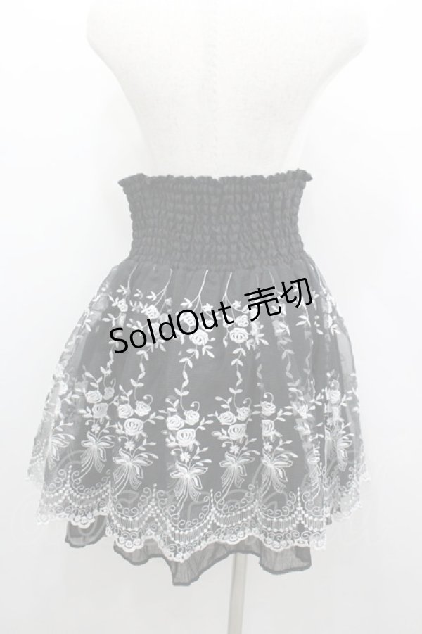 画像3: axes femme / オーガンジー刺繍ハイウエストスカート M 黒 I-26-03-04-041-AX-SK-TE-ZI (3)