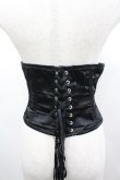 画像3: Dangerous nude / サテンコルセット M 黒 I-26-03-04-045-PU-BL-TE-ZI (3)
